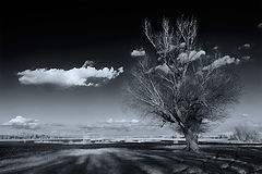 photo "***"