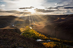 фото ""Лучики""