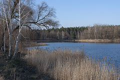 photo "***"