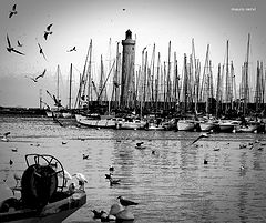 photo "in the port"
