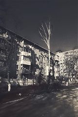 photo "***"