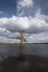 photo "***"