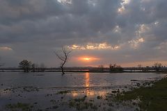 photo "***"