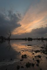 photo "***"