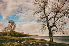 photo "***"
