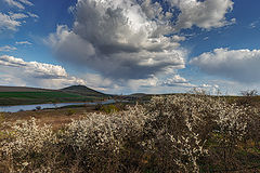 photo "Cloudy"