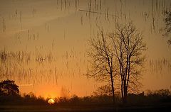 photo "***"