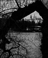 фото "Пражский Град и дерево"