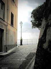фото "promenade"