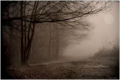 photo "***"