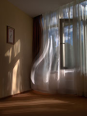 фото "Дуэт..."