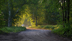 photo "***"
