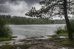 фото "Ливень"