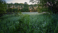 photo "***"