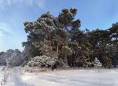 фото "Куржак"