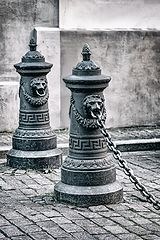 photo "Lions"