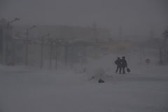 photo "Возле городского спортзала"