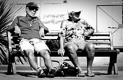 photo "after the walk: a pause"