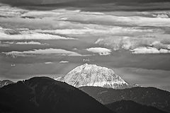 photo "Guffert"
