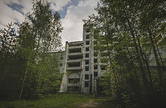 фото "Жизнь после смерти"