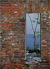 фото "Кирпичики."