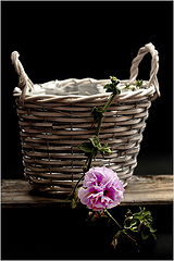 photo "***"
