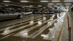 photo "At the Parking"