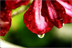 photo "***"