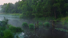 photo "***"