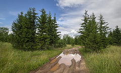 фото "По проселкам"