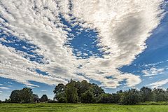 photo "Clouds"