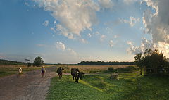 photo "***"