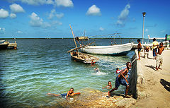 photo "swim in the sea"