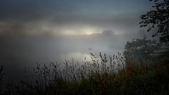photo "***"