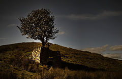 photo "***"