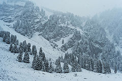 photo "Praxmar"