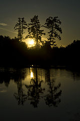 photo "***"
