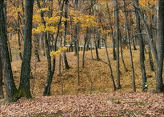 photo "***"