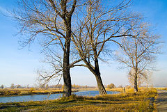 фото "Открасовались"