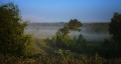 photo "***"