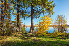 фото "Осенний берег"