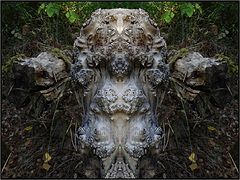 фото "king laurin"