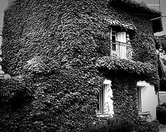 фото "the house dressed"