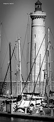 фото "the lighthouse"