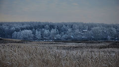 photo "***"