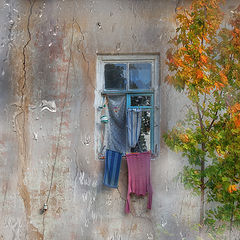 photo "***"