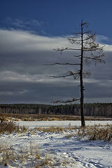 photo "***"