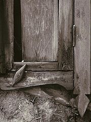 photo "***"