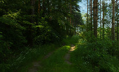 photo "***"
