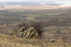photo "***"